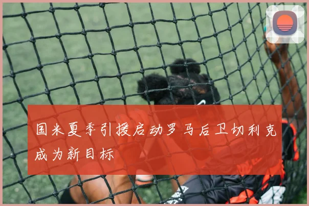国米夏季引援启动罗马后卫切利克成为新目标