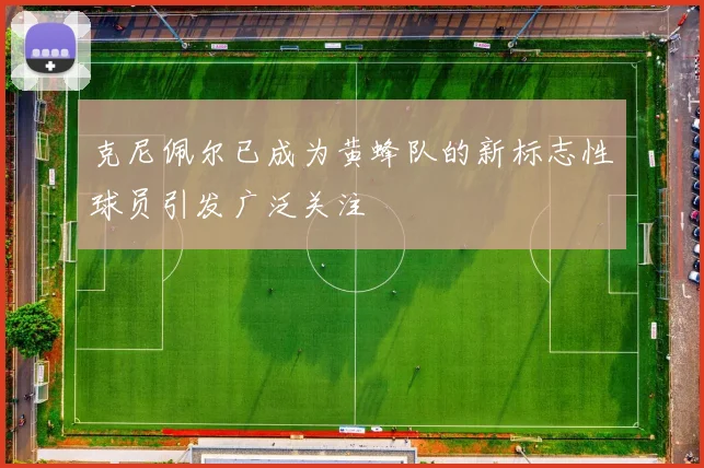 克尼佩尔已成为黄蜂队的新标志性球员引发广泛关注