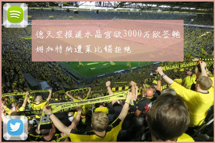 德天空报道水晶宫欲3000万欧签鲍姆加特纳遭莱比锡拒绝
